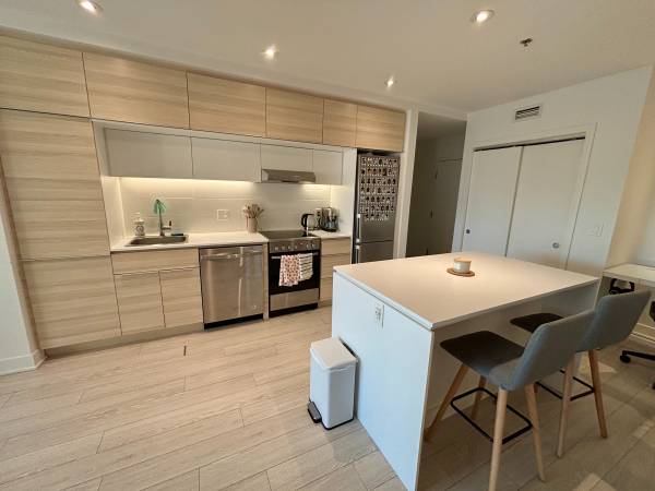 Bright 1 Bed 1 Bath Griffintown