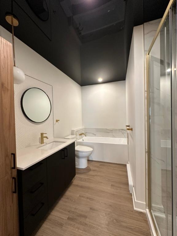 4 1/2 luxueux à louer à L'assomption - Disponible 1er juillet ou avant