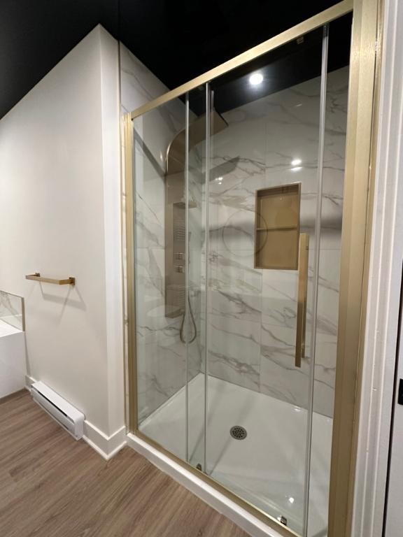 4 1/2 luxueux à louer à L'assomption - Disponible 1er juillet ou avant