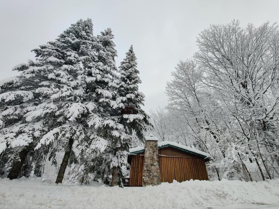 Maison a louer