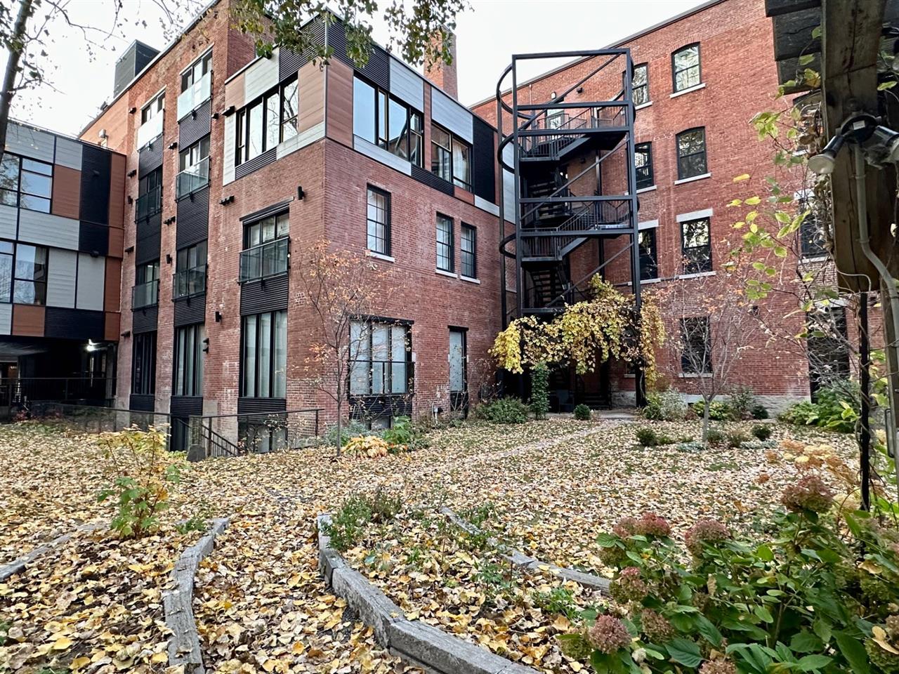 Loft Montréal (Ville-Marie) À Louer