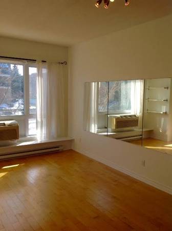 SPACIOUS 3 1/2 - HYDRO INCLUDED - METRO BERRI UQAM