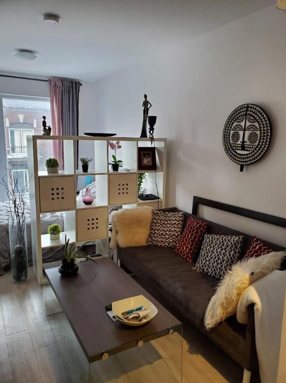 Studio - Montréal - $1,195 /mo