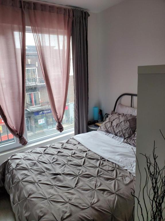 Studio - Montréal - $1,195 /mo