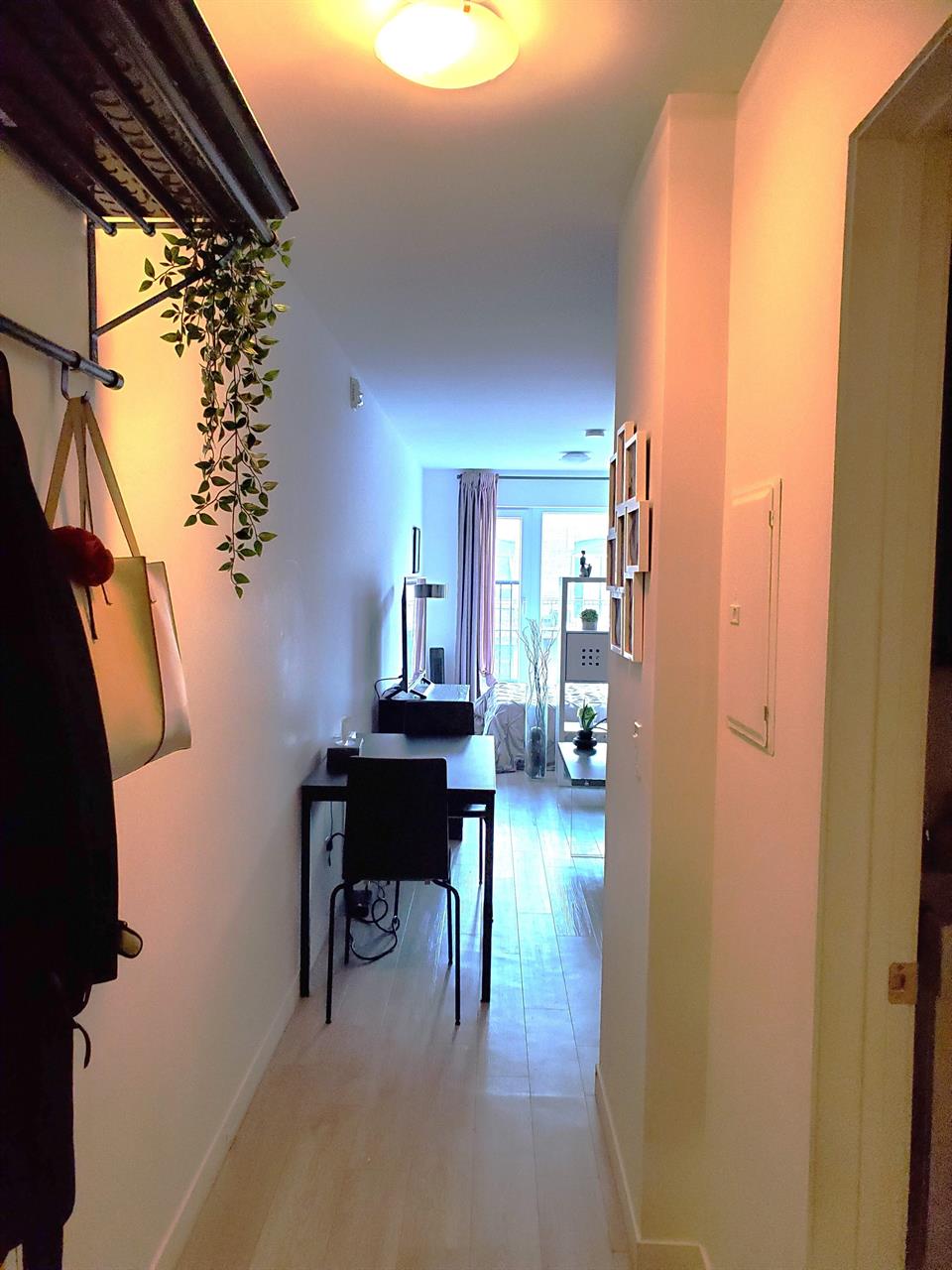 Studio - Montréal - $1,195 /mo