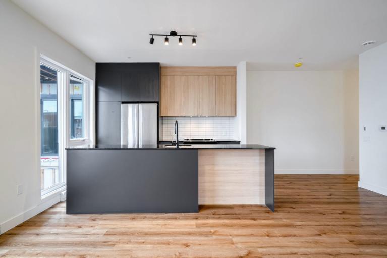 5 1/2 - Montréal (La Petite-Patrie) - $2 695 /mois