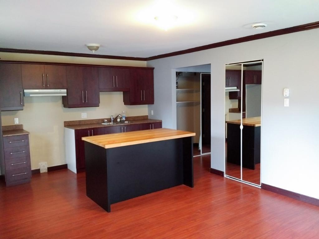 Beau grand 3 1/2 Récent STYLE CONDO Sur Boul. Thibeau 1 juillet 2025