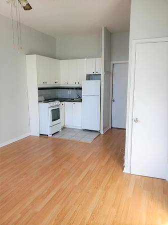 Bright Studio apartment in Downtown Montreal! December or January!