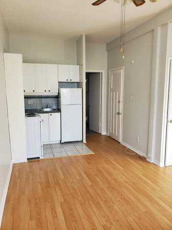 Bright Studio apartment in Downtown Montreal! December or January!