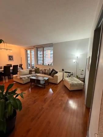 Large 1br Apartment