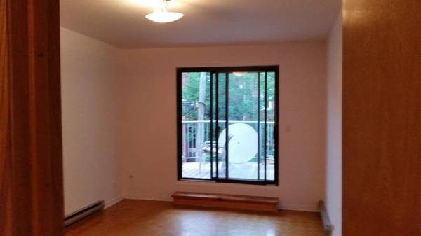 Superb 1 br. with balcony view of Mount Royal (Av. du Parc)