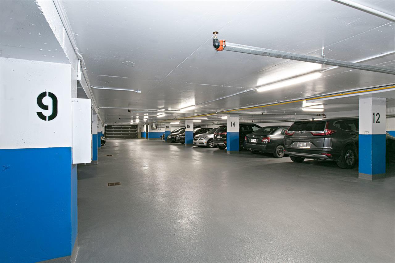 3488 Côte-des-Neiges Road - Ramezay - Studio - 3488 Chemin De La Côte-des-Neiges, Montréal