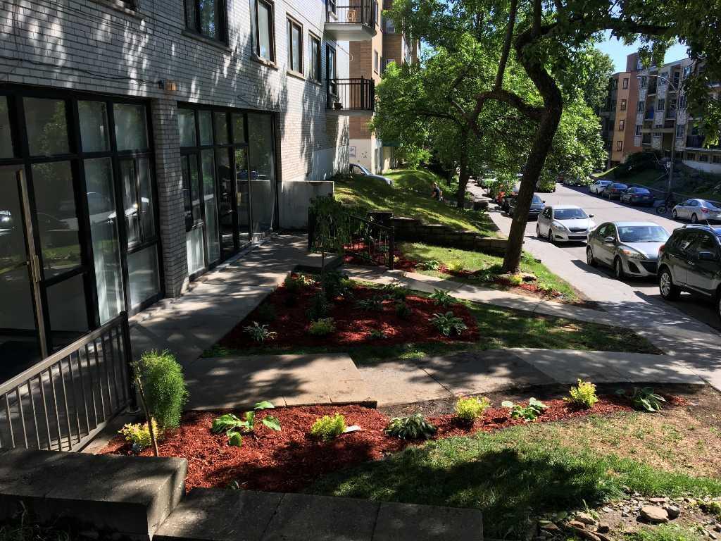 3 1/2 RENOVE, CHAUFFAGE ET EAU CHAUDE INCLUS, PRES UNIVERSITE DE MONTREAL