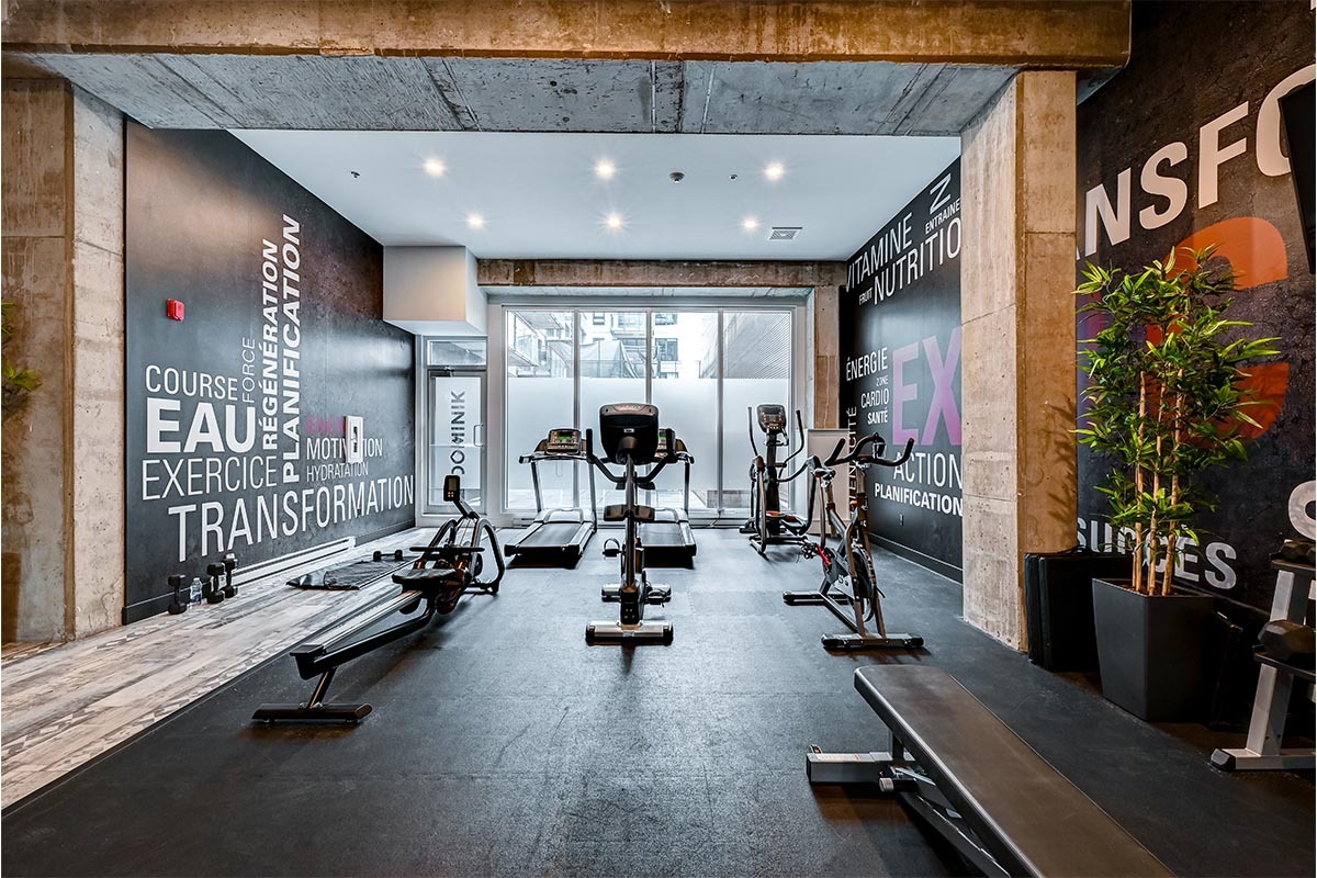 Bachelor Available At 1255 Rue Saint-Dominique, Montreal - 1255 Rue Saint-Dominique, Montréal