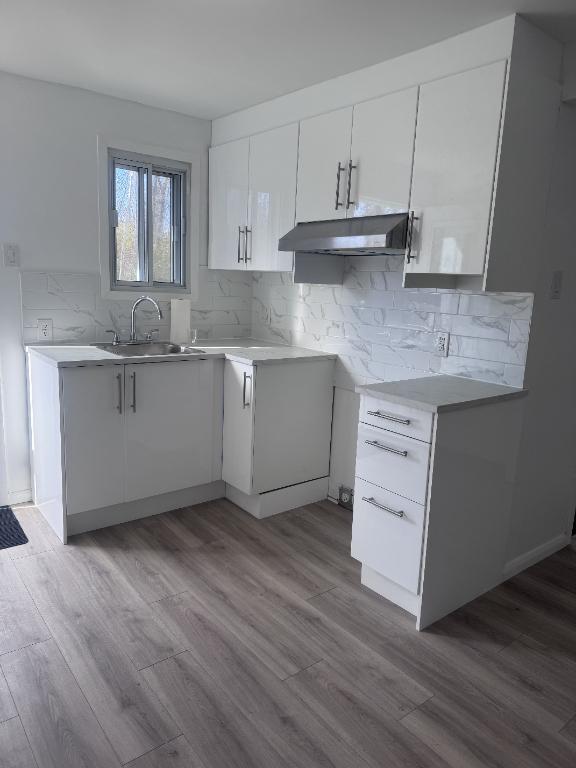 DISPONIBLE IMMÉDIATEMENT - Superbe 3 1/2 Style Loft à Rivière-des-Prairies