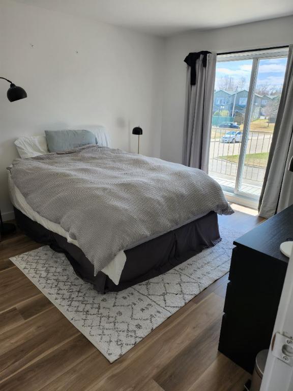 Très beau logement dans les champs Élysées à Notre dame des Prairies disponible 1 mars 2025