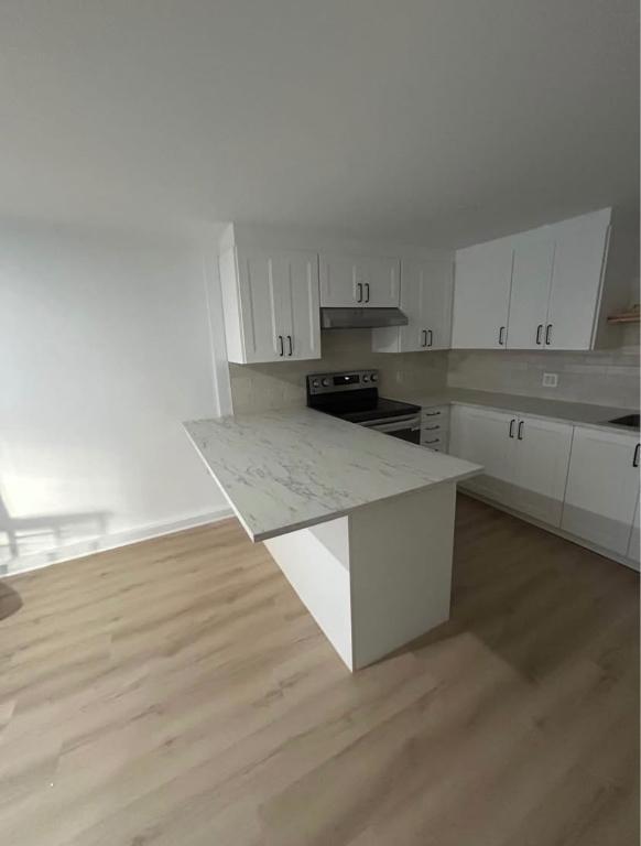 Appartement 1 chambre à Louer à Lachine - Niveau Demi Sous-Sol