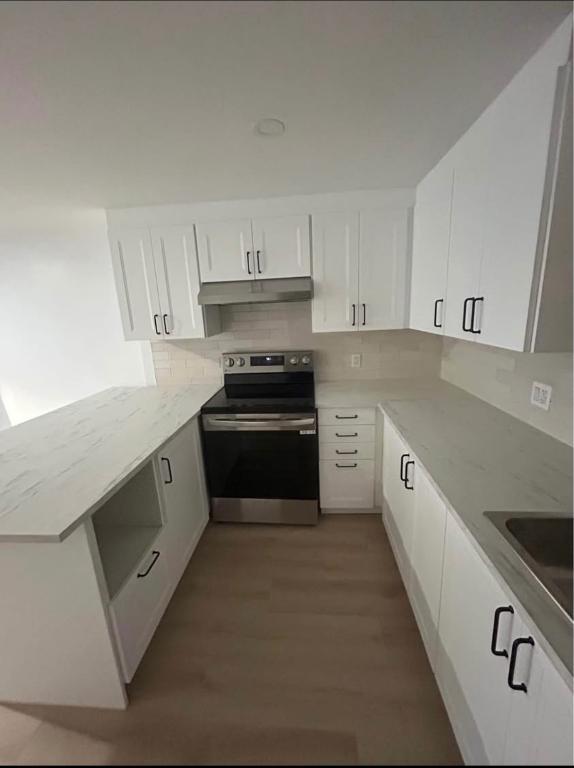 Appartement 1 chambre à Louer à Lachine - Niveau Demi Sous-Sol