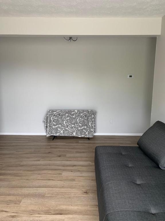 Apartement 3 1/2 à louer