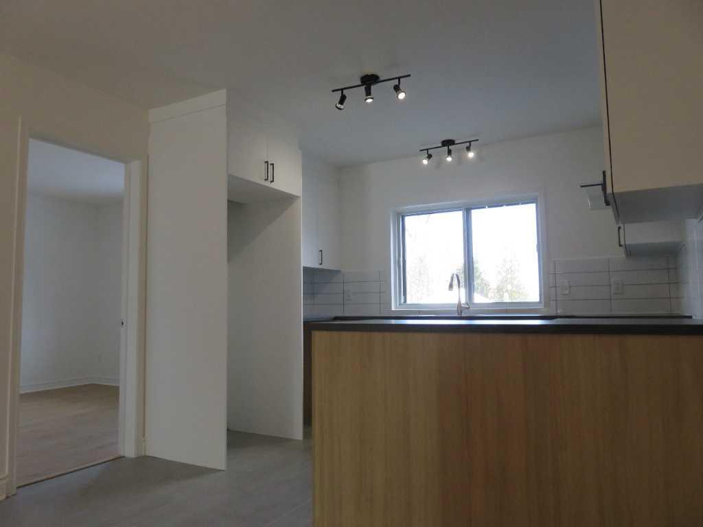 Saint-Basile-le-Grand – Quartier Montagne - Appartement 4 ½ lumineux et entièrement rénové