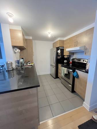 Sunny 2 bedroom condo in The Tannerie building ,St Henri. May 1st 2025
