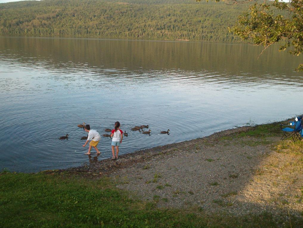 Charmant Chalet à Louer avec Spa — Lac Pohénégamook