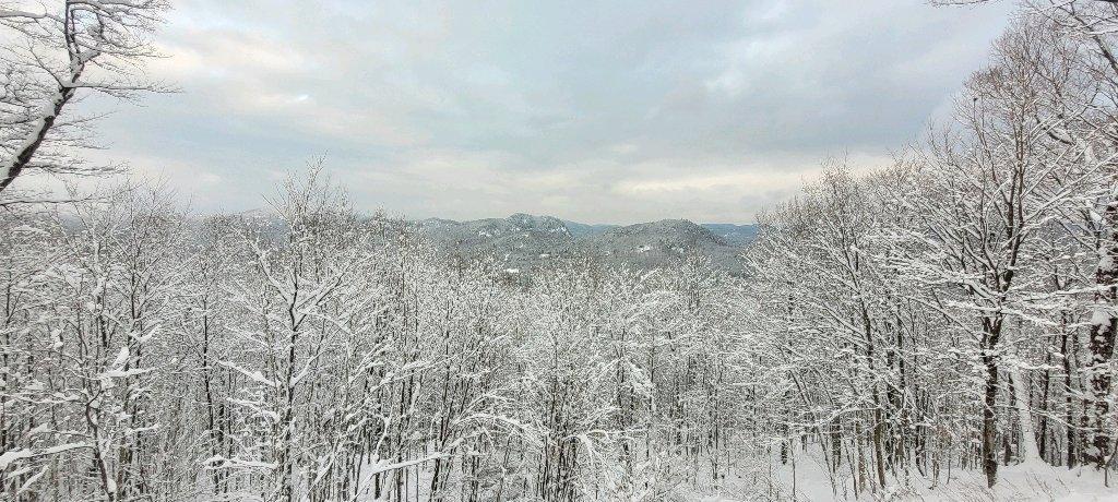 Saison de Ski ⛷️ - 4 ½ TOUS INCLUS avec Vue Panoramic