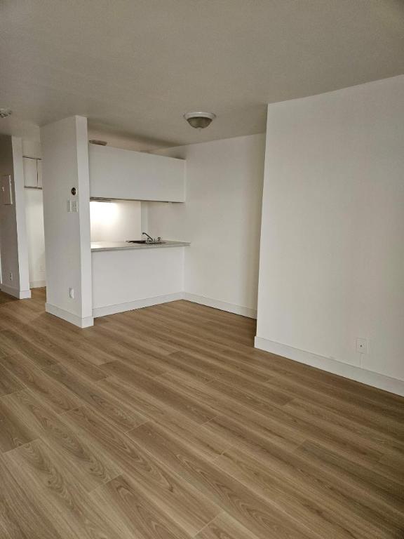 Studio - Montréal - $1,245 /mo