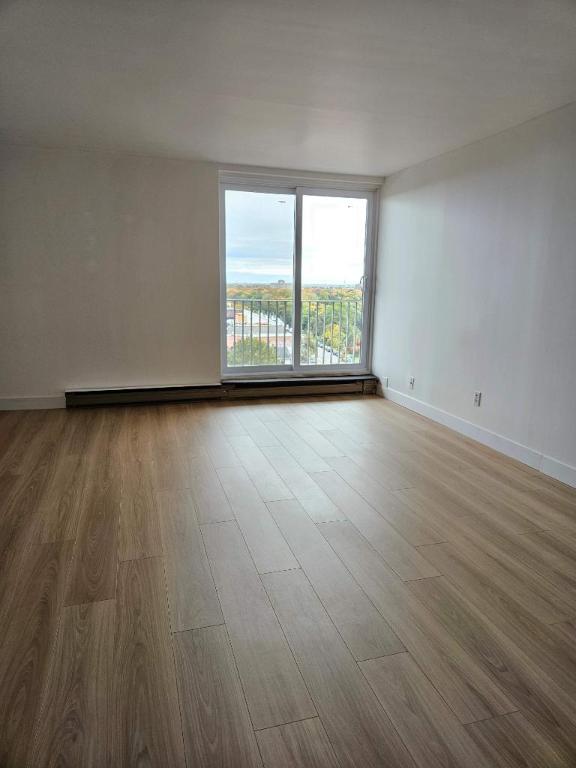 Studio - Montréal - $1,245 /mo
