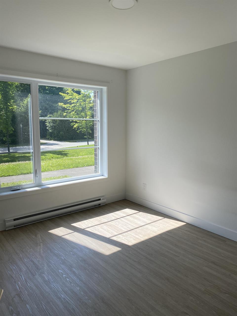 Immeuble - 287 Chemin Plante Appartement à Louer – 4 Et Demi