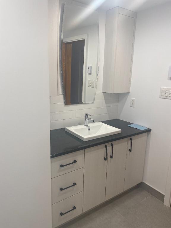 5 1/2 - COMPLETEMENT RENOVE - IMMEDIATE