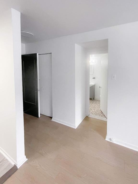 Studio - Montréal - $925 /mo