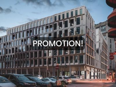 3-bedroom - 450 Rue Saint-François-Xavier, Montréal