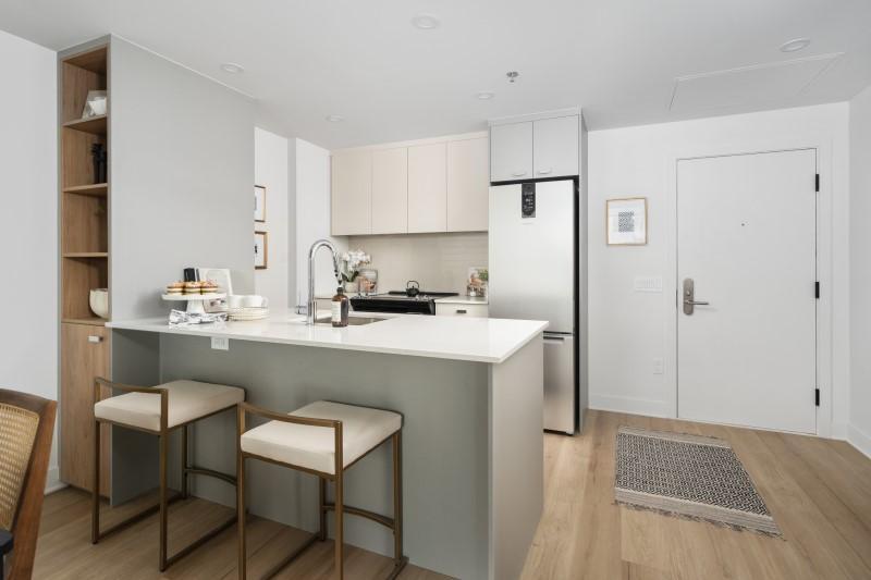 3-bedroom - 450 Rue Saint-François-Xavier, Montréal