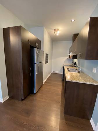 105 Bruxelles, 1 bedroom condo (PLATEAU)