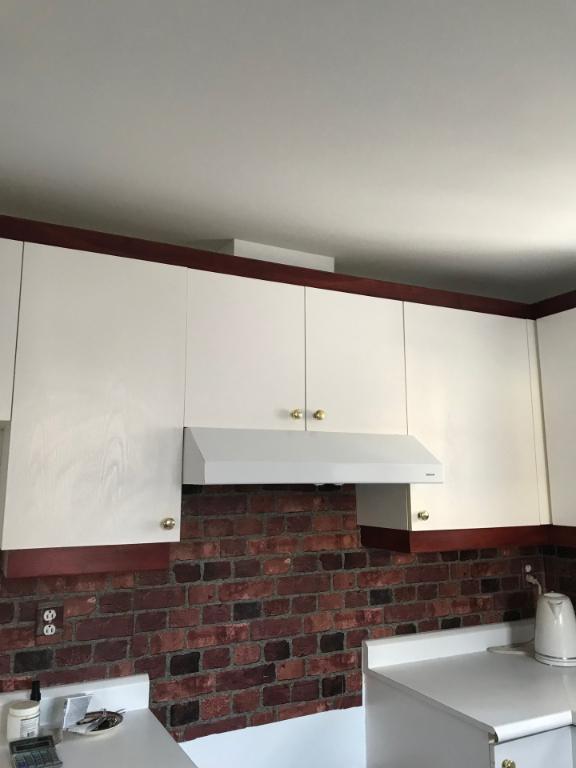 4 1/2 style condo à louer - Lévis (Québec)