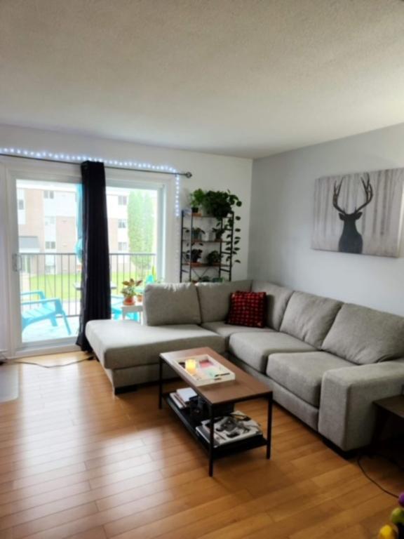 Logement 31/2 Bromont, frigidaire, laveuse, sécheuse, remise et stationnement privé inclus - 5 minutes du Sommet !!! Venez visiter!!!!
