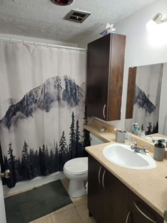Logement 31/2 Bromont, frigidaire, laveuse, sécheuse, remise et stationnement privé inclus - 5 minutes du Sommet !!! Venez visiter!!!!