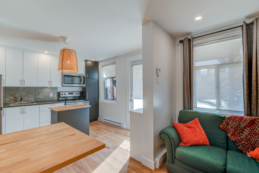 Appartement Meublé 1 Chambre à Louer