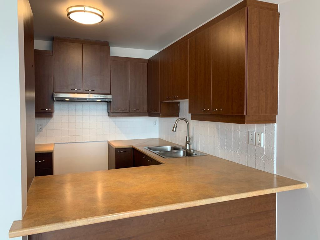 Magnifique Condo Face Au Lac St-Louis