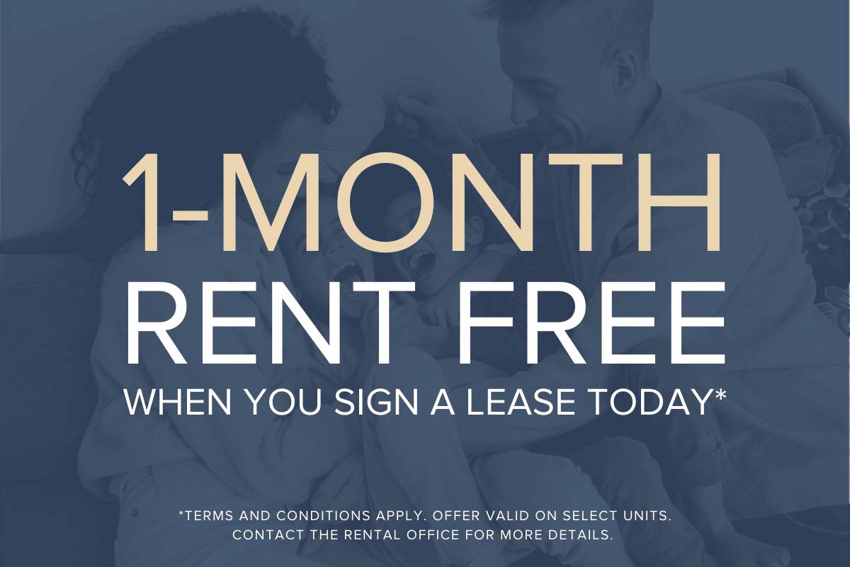 1 Bedroom Available At 5199 Sherbrooke Street East, Suite 3361 - 5199 Sherbrooke Street East, Suite 3361, Montréal