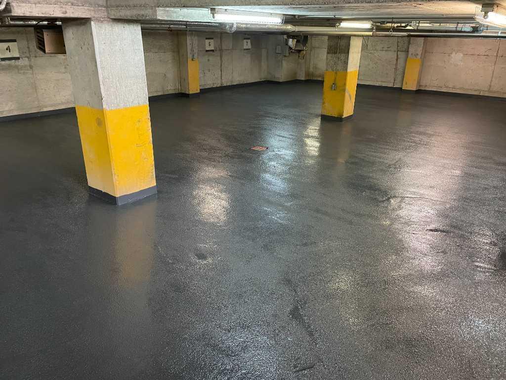 Studio au sous-sol / Métro du Parc / Université de Montréal