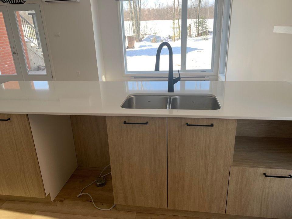 MAGNIFIQUES APPARTEMENTS 3 1/2 DISPONIBLE