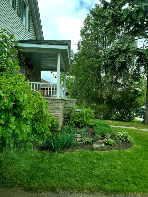 Adj Ahuntsic Grand 3 1/2 Semi Meublé Sta