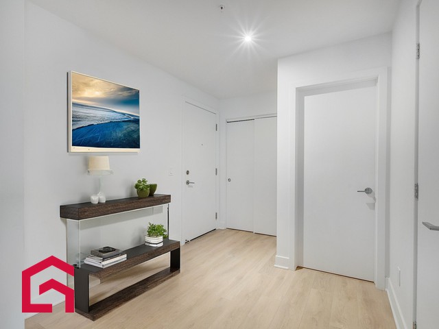 Appartement Mercier/Hochelaga-Maisonneuve (Montréal) À Louer