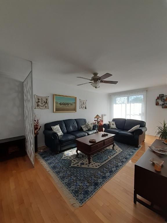 appartement 5 1/2 à louer