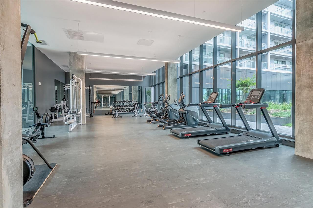 Large 3-bedroom - 1250 Avenue Thérèse-Lavoie-Roux, Outremont
