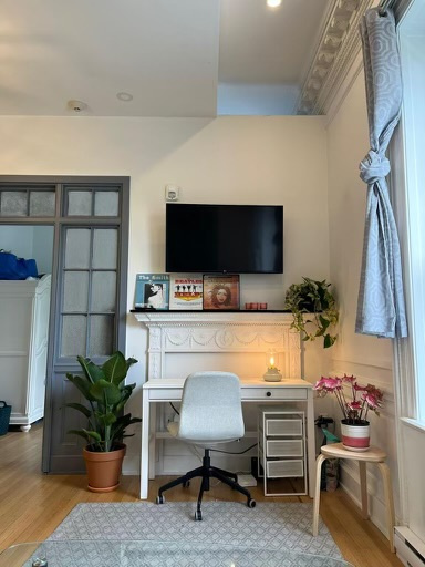 McGill Downtown - Superb 3 1/2 All Inc.