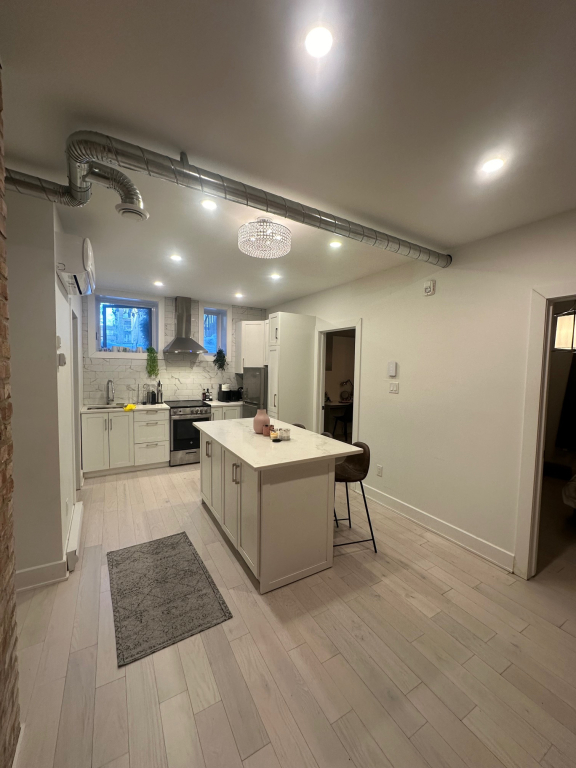 McGill Downtown - Superb 4 1/2 All Inc.