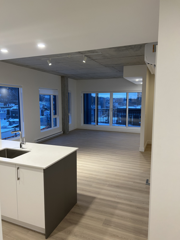 Magnifique Penthouse Deux Chambres